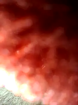 Show de aman4404 na webcam