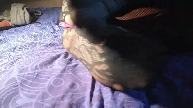 Webkamerová show Very-sweet