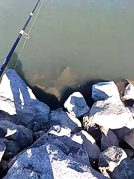 Yayo66 Chat XXX in diretta