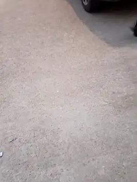 arabayla: вебкам-шоу