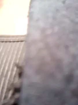 Živý XXX chat _Isabella-7