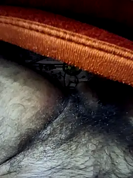 Show Webcam de aman4404