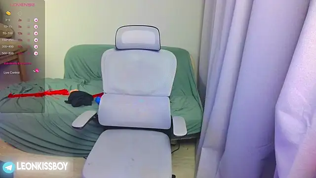 LeonBoykisser: διαδικτυακό σόου στην κάμερα