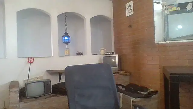 Stevenson988: διαδικτυακό σόου στην κάμερα