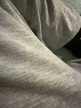 Show Webcam de licanp