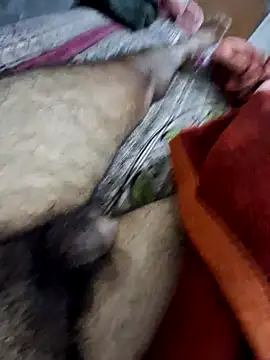 aman4404n Webbikameraesitys