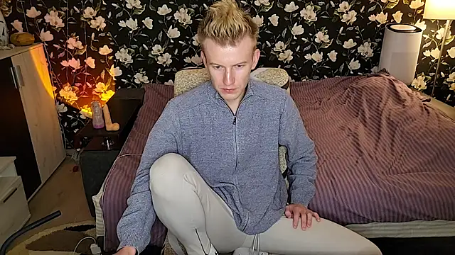 Vuittonn Webbikameraesitys