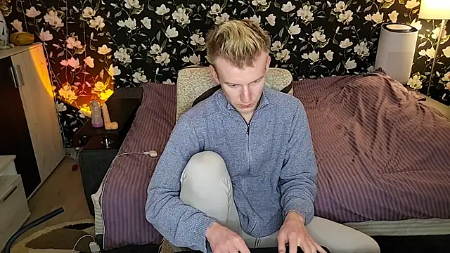 Вебка м-шоу Vuitton