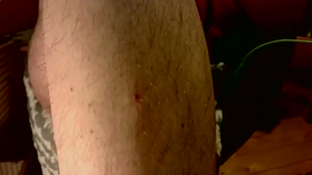 T0Yforeskin Webcam-Show