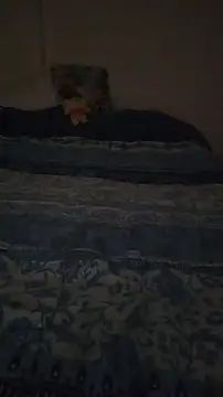 Lukemo Obrolan Langsung XXX