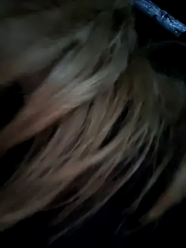 Evehampn Live XXX chat