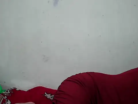 Ana_2023 网络视讯表演