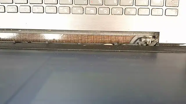 Chat +18 de mooonlightbaby ao vivo