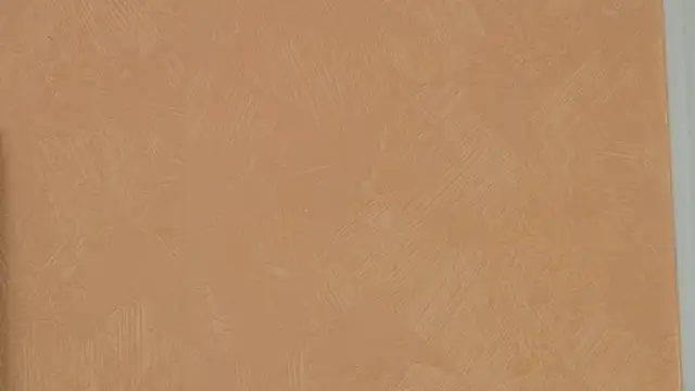 Show webcam de LadyPosh