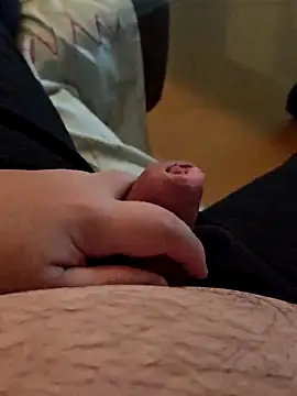 t-dog26 Show in webcam