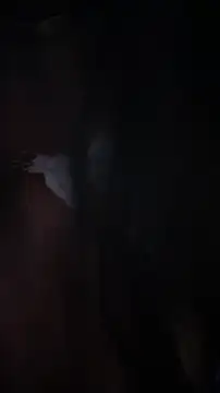 TiffanyRoxxn Webbikameraesitys