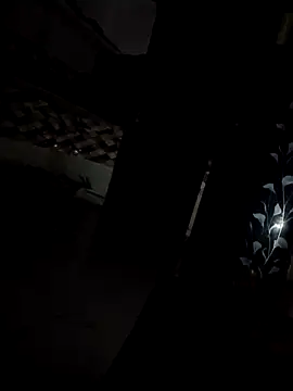 Вебкам-шоу Black_white_couple