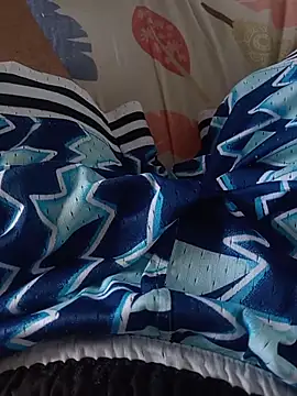 โชว์เว็บแคมของ vergab1234