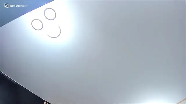 Chatroom XXX en direct de fireflowers_