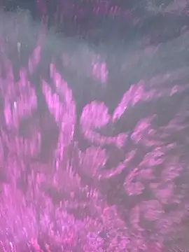 Онлайн чат XXX xpihu