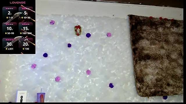 Chat XXX en directo de bella_warzon