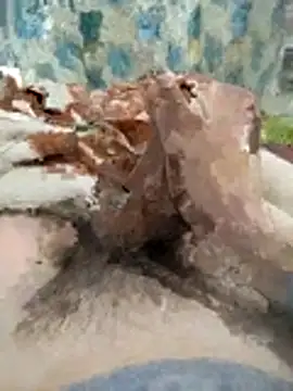 naghmi12のウェブカメラショー