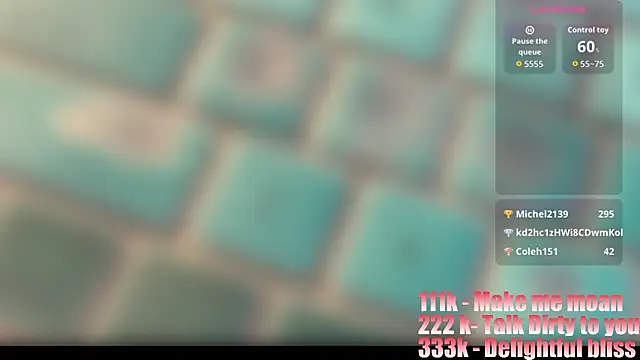 Show webcam de Gingerxl8