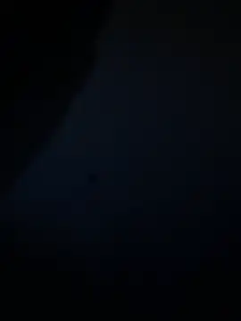 savageebny Webcam-Show