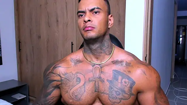 عرض كام binmontana_