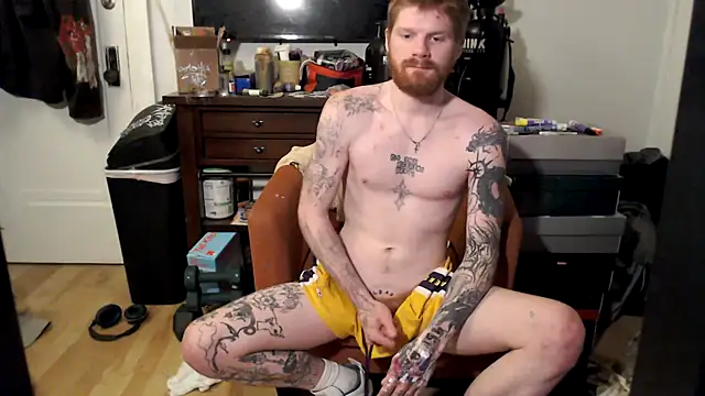 Magnetic127's Webcam Show