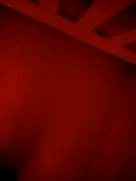 olviasssl77 webcam show