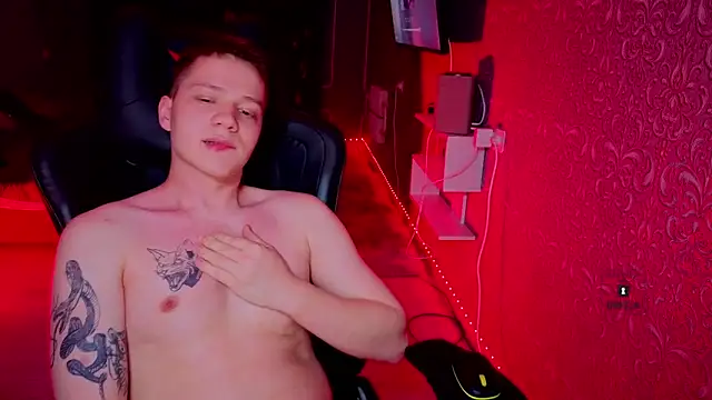 Show Webcam de Karl_Night_