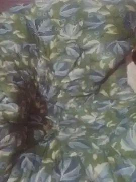 angel-cinderella's Live XXX Chat