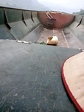 hd_love69 Live XXX Chat