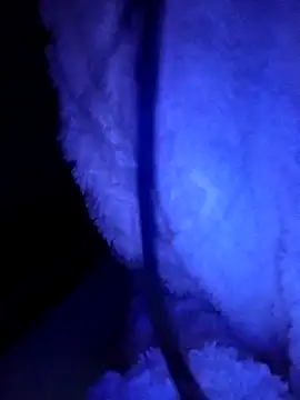 Hottiesophien Live XXX chat