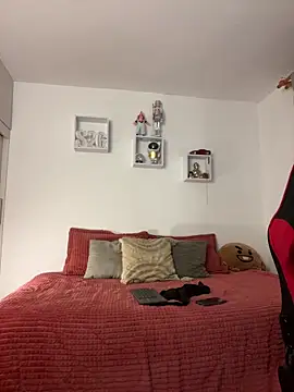 Ezzio_Scolaro: διαδικτυακό σόου στην κάμερα