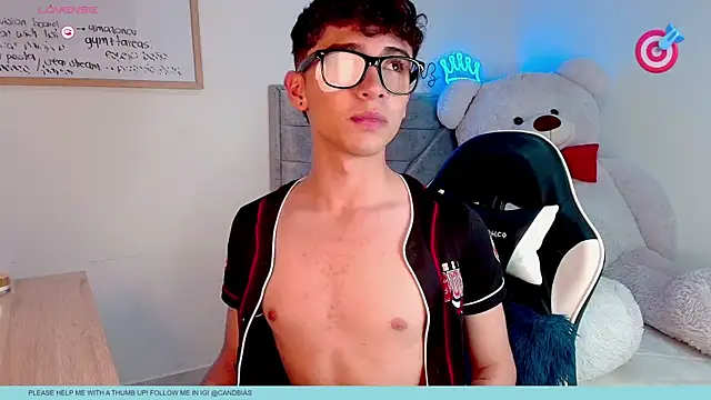 niico_princen Webbikameraesitys