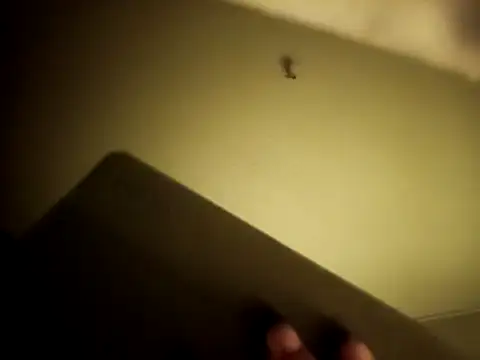 Онлайн чат XXX mimi19820