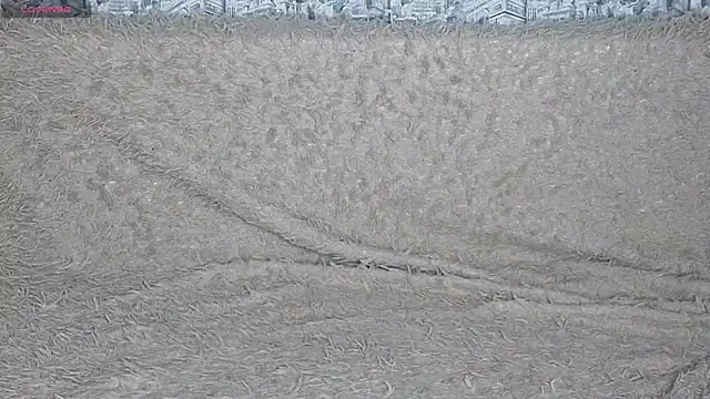 Honeyhook – Naživo XXX chat