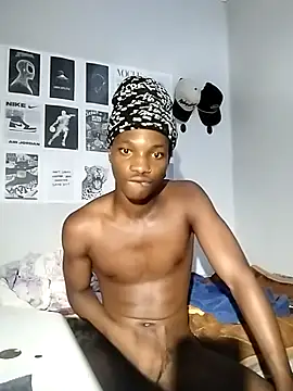 Lue3333n Webbikameraesitys