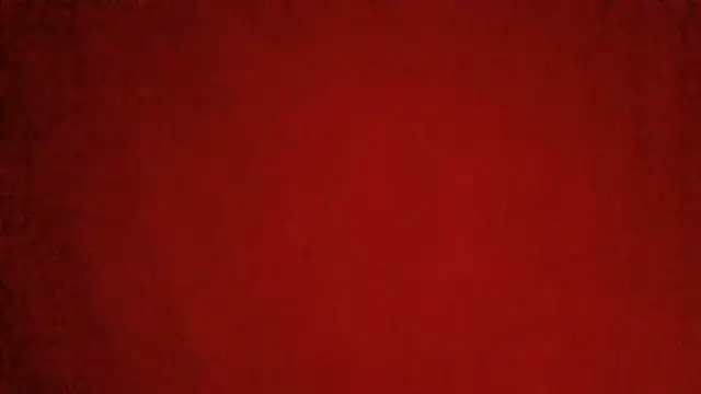 demo2004 webcam show