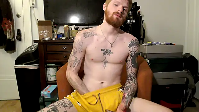 Magnetic127 网络视讯表演