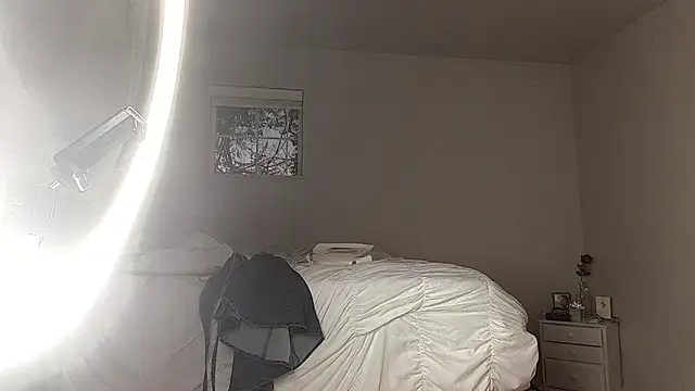 Show Webcam de Ninavale