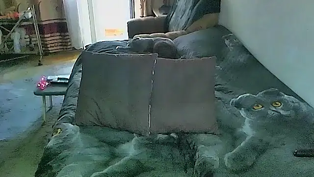 Chatroom XXX en direct de sex2