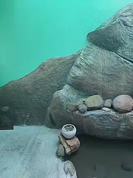 Živý XXX chat Ruvi_Queen