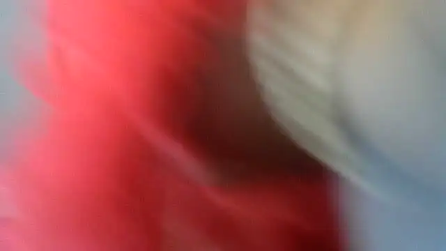 Lusty_N_Busty: вебкам-шоу