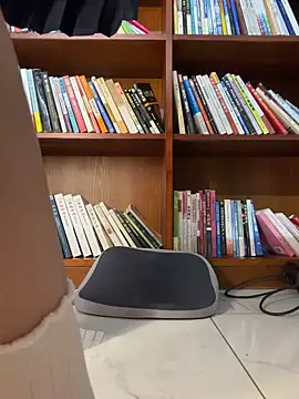 Fire-18のウェブカメラショー