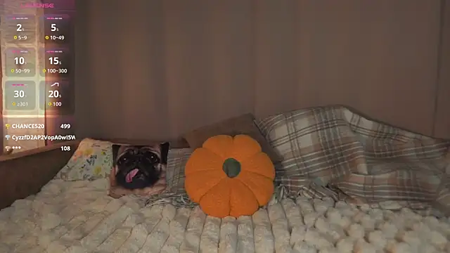 SherryBoonen Live XXX chat