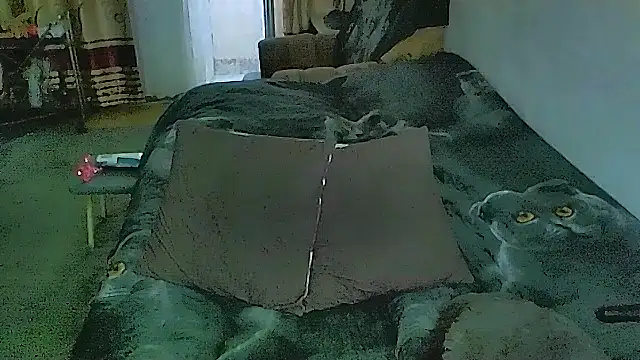 Živý XXX chat sex2