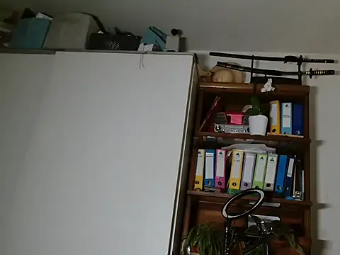 Pertunjukan Kamera Web 4quatro